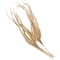 32" Beige Dried Plant Palm Leaf Natural Foliage
